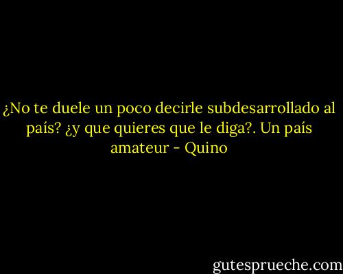 ¿No te duele un poco decirle subdesarrollado al país? ¿y que quieres que le diga?. Un país amateur - Quino