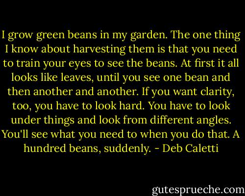 I grow green beans in my garden. The one thing I know about harvesting them is that you need to train your eyes to see the beans. At first it all looks like leaves, until you see one bean and then another and another. If you want clarity, too, you have to look hard. You have to look under things and look from different angles. You'll see what you need to when you do that. A hundred beans, suddenly. - Deb Caletti