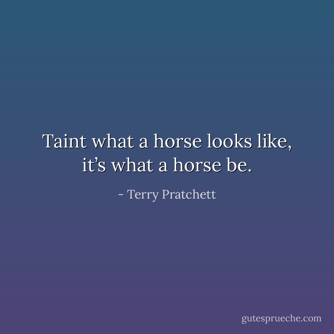 Taint what a horse looks like, it’s what a horse be. - Terry Pratchett