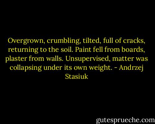 Overgrown, crumbling, tilted, full of cracks, returning to the soil. Paint fell from boards, plaster from walls. Unsupervised, matter was collapsing under its own weight. - Andrzej Stasiuk