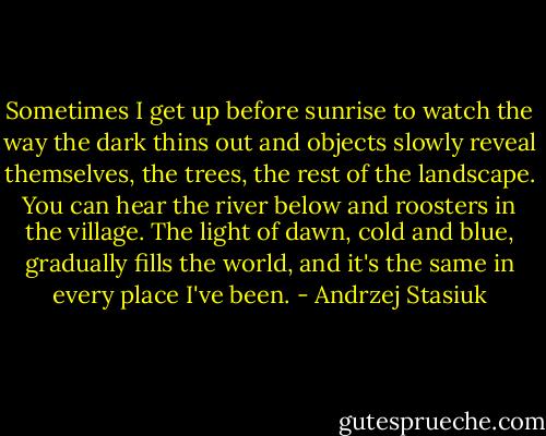 Sometimes I get up before sunrise to watch the way the dark thins out and objects slowly reveal themselves, the trees, the rest of the landscape. You can hear the river below and roosters in the village. The light of dawn, cold and blue, gradually fills the world, and it's the same in every place I've been. - Andrzej Stasiuk
