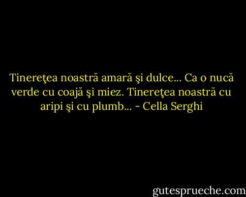 Tinereţea noastră amară şi dulce... Ca o nucă verde cu coajă şi miez. Tinereţea noastră cu aripi şi cu plumb... - Cella Serghi