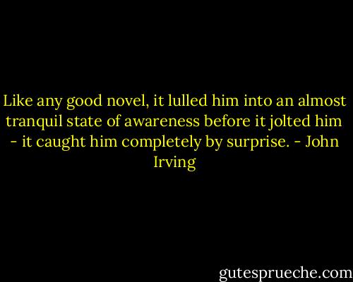 Like any good novel, it lulled him into an almost tranquil state of awareness before it jolted him - it caught him completely by surprise. - John Irving