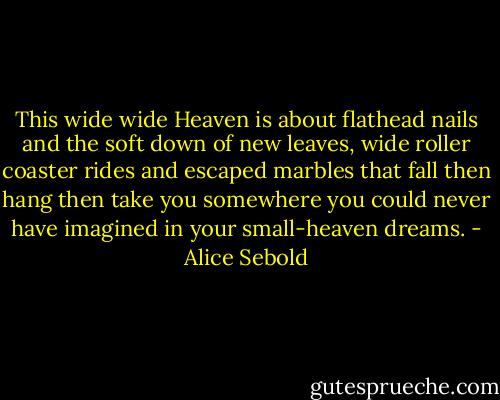 This wide wide Heaven is about flathead nails and the soft down of new leaves, wide roller coaster rides and escaped marbles that fall then hang then take you somewhere you could never have imagined in your small-heaven dreams. - Alice Sebold