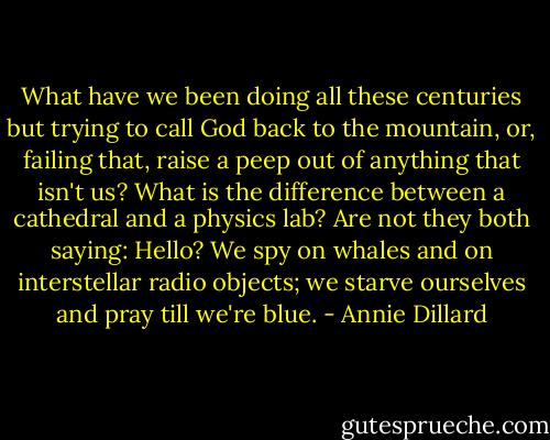 What have we been doing all these centuries but trying to call God back to the mountain, or, failing that, raise a peep out of anything that isn't us? What is the difference between a cathedral and a physics lab? Are not they both saying: Hello? We spy on whales and on interstellar radio objects; we starve ourselves and pray till we're blue. - Annie Dillard