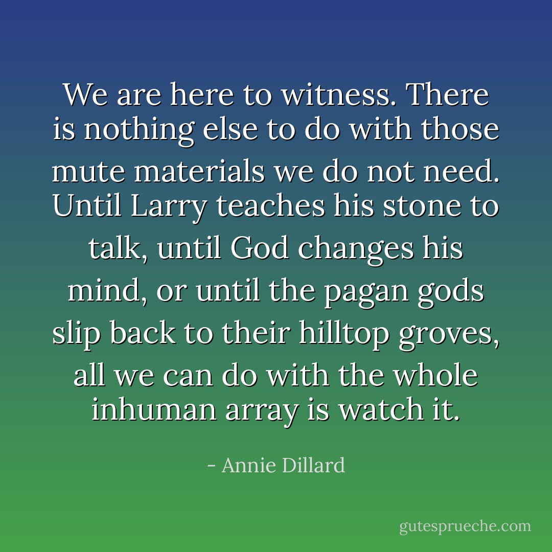 We are here to witness. There is nothing else to do with those mute materials we do not need. Until Larry teaches his stone to talk, until God changes his mind, or until the pagan gods slip back to their hilltop groves, all we can do with the whole inhuman array is watch it. - Annie Dillard