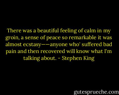 There was a beautiful feeling of calm in my groin, a sense of peace so remarkable it was almost ecstasy——anyone who' suffered bad pain and then recovered will know what I'm talking about. - Stephen King