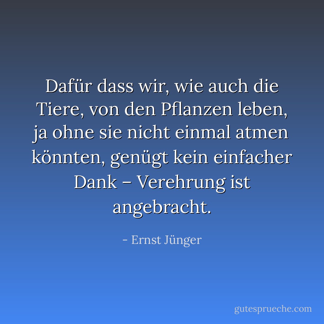 Dafür dass wir, wie auch die Tiere, von den Pflanzen leben, ja ohne sie nicht einmal atmen könnten, genügt kein einfacher Dank – Verehrung ist angebracht. - Ernst Jünger