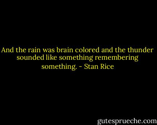 And the rain was brain colored<br />and the thunder sounded like something remembering something. - Stan Rice