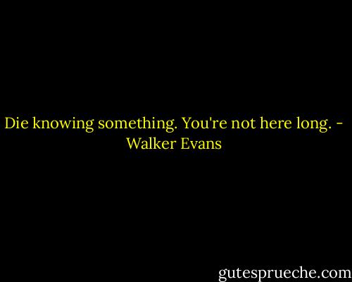 Die knowing something. You're not here long. - Walker Evans