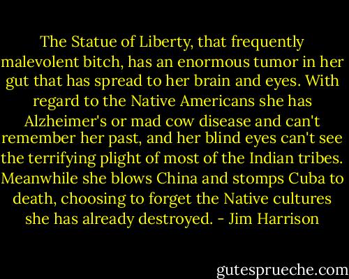 The Statue of Liberty, that frequently malevolent bitch, has an enormous tumor in her gut that has spread to her brain and eyes. With regard to the Native Americans she has Alzheimer's or mad cow disease and can't remember her past, and her blind eyes can't see the terrifying plight of most of the Indian tribes. Meanwhile she blows China and stomps Cuba to death, choosing to forget the Native cultures she has already destroyed. - Jim Harrison