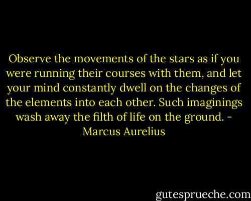 Observe the movements of the stars as if you were running their courses with them, and let your mind constantly dwell on the changes of the elements into each other. Such imaginings wash away the filth of life on the ground. - Marcus Aurelius