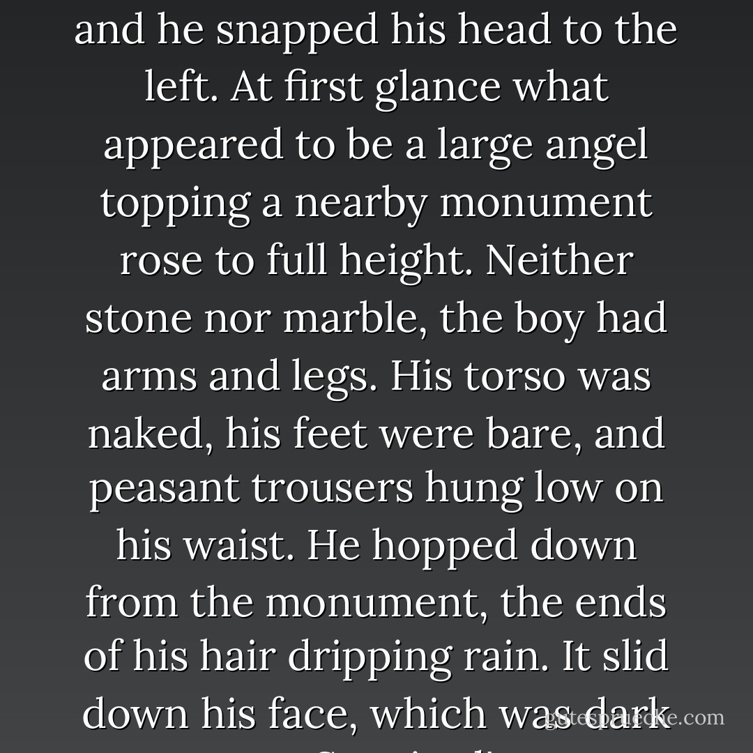 There was movement along the fringe of Chauncey's vision, and he snapped his head to the left. At first glance what appeared to be a large angel topping a nearby monument rose to full height. Neither stone nor marble, the boy had arms and legs. His torso was naked, his feet were bare, and peasant trousers hung low on his waist. He hopped down from the monument, the ends of his hair dripping rain. It slid down his face, which was dark as a Spaniard's. - Becca Fitzpatrick