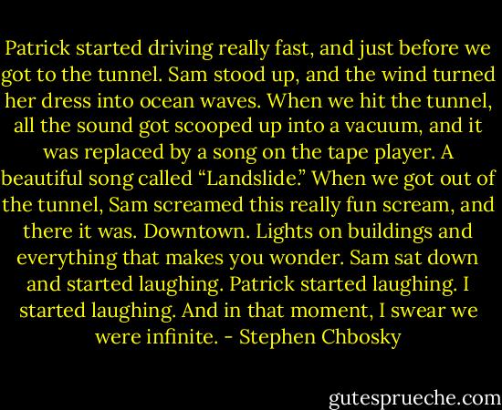 Patrick started driving really fast, and just before we got to the tunnel. Sam stood up, and the wind turned her dress into ocean waves. When we hit the tunnel, all the sound got scooped up into a vacuum, and it was replaced by a song on the tape player. A beautiful song called “Landslide.” When we got out of the tunnel, Sam screamed this really fun scream, and there it was. Downtown. Lights on buildings and everything that makes you wonder. Sam sat down and started laughing. Patrick started laughing. I started laughing.<br />And in that moment, I swear we were infinite. - Stephen Chbosky