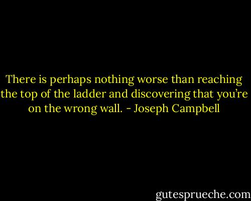 There is perhaps nothing worse than reaching the top of the ladder<br />and discovering that you’re on the wrong wall. - Joseph Campbell