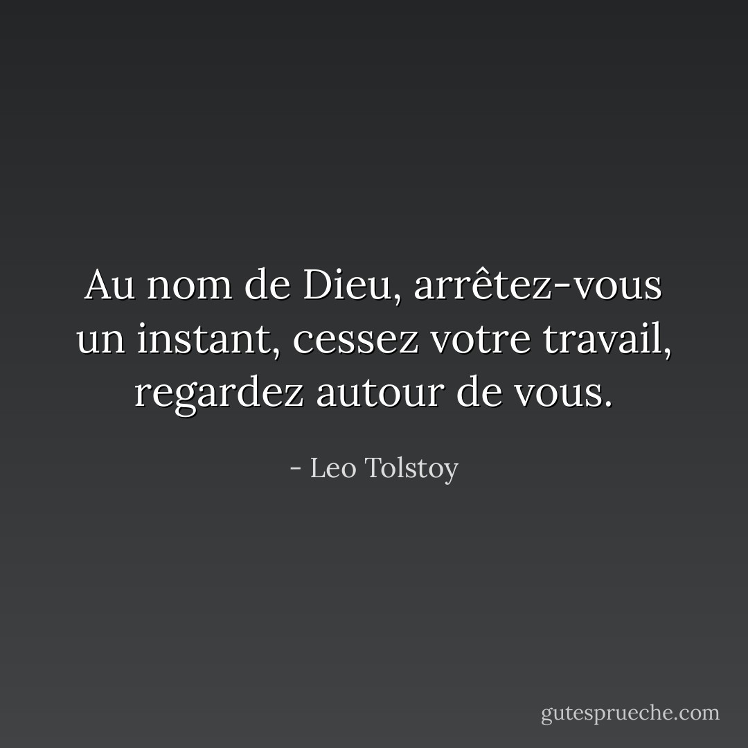 Au nom de Dieu, arrêtez-vous un instant, cessez votre travail, regardez autour de vous. - Leo Tolstoy