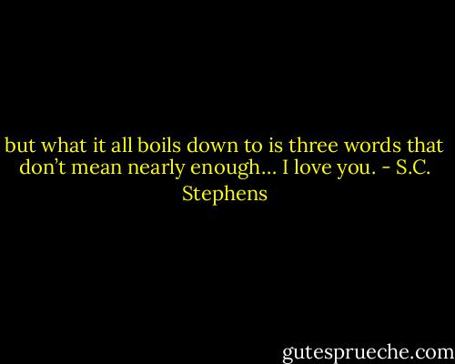 but what it all boils down to is three words that don’t mean nearly enough… I love you. - S.C. Stephens