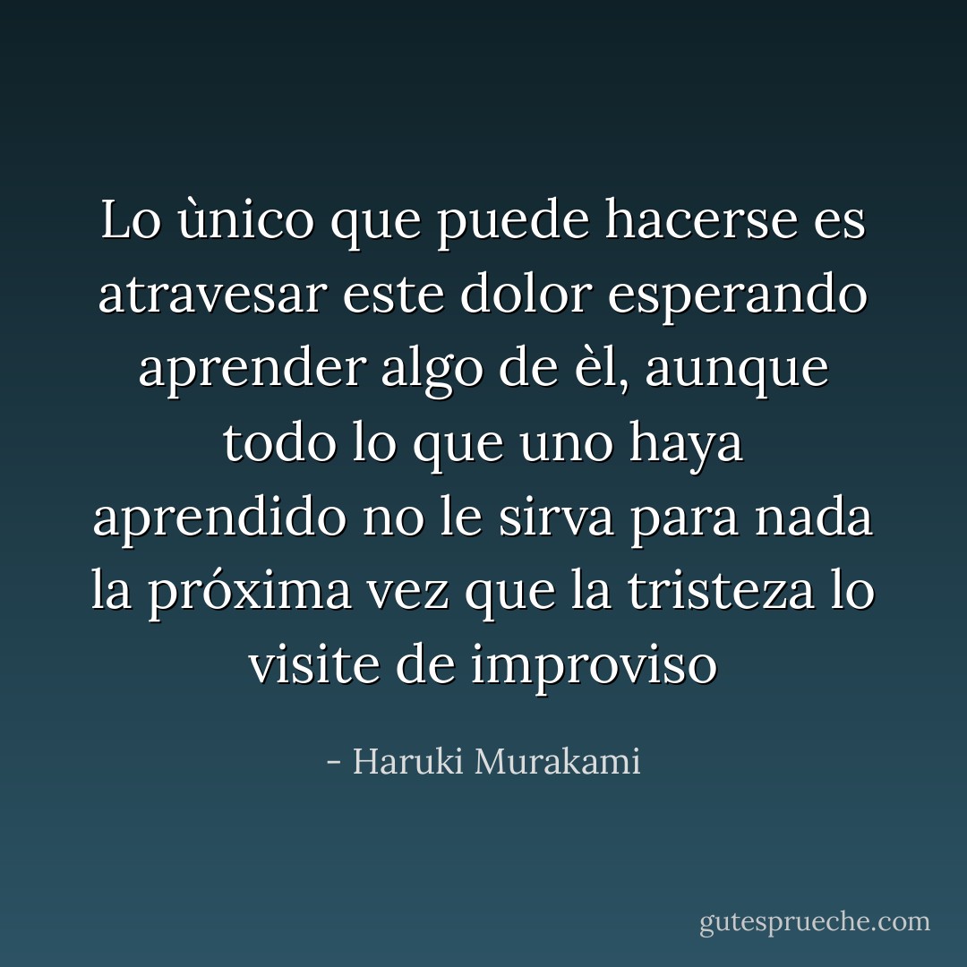 Lo ùnico que puede hacerse es atravesar este dolor esperando aprender algo de èl, aunque todo lo que uno haya aprendido no le sirva para nada la próxima vez que la tristeza lo visite de improviso - Haruki Murakami