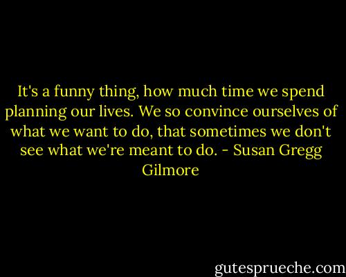 It's a funny thing, how much time we spend planning our lives. We so convince ourselves of what we want to do, that sometimes we don't see what we're meant to do. - Susan Gregg Gilmore
