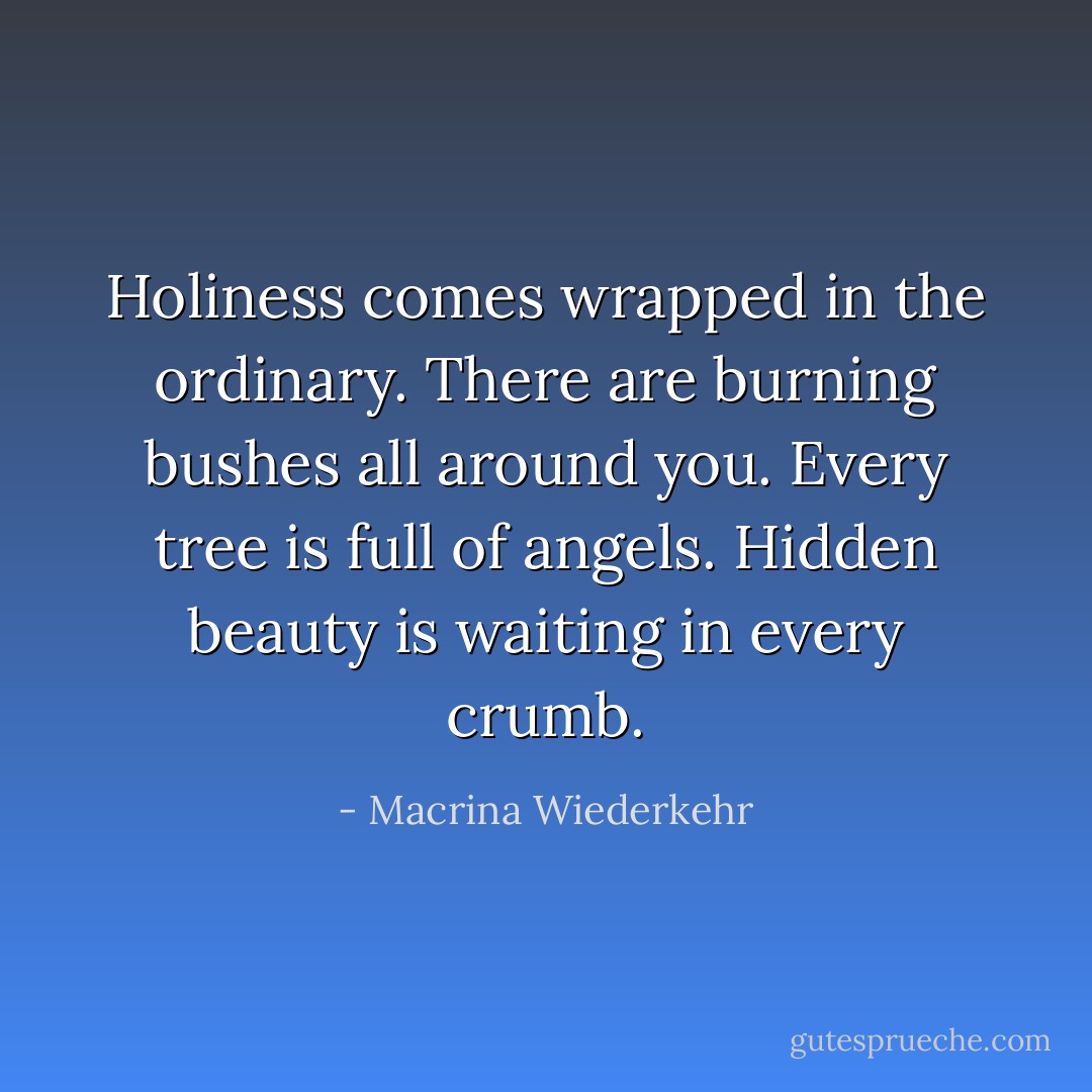 Holiness comes wrapped in the ordinary. There are burning bushes all around you. Every tree is full of angels. Hidden beauty is waiting in every crumb. - Macrina Wiederkehr