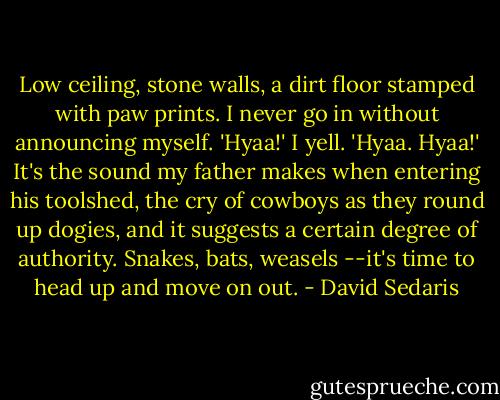 Low ceiling, stone walls, a dirt floor stamped with paw prints. I never go in without announcing myself. 'Hyaa!' I yell. 'Hyaa. Hyaa!' It's the sound my father makes when entering his toolshed, the cry of cowboys as they round up dogies, and it suggests a certain degree of authority. Snakes, bats, weasels --it's time to head up and move on out. - David Sedaris