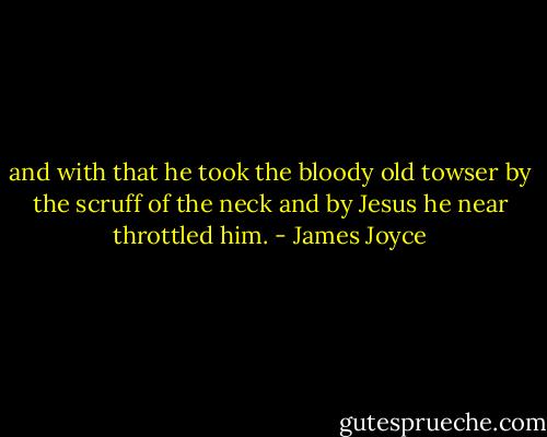 and with that he took the bloody old towser by the scruff of the neck and by Jesus he near throttled him. - James Joyce