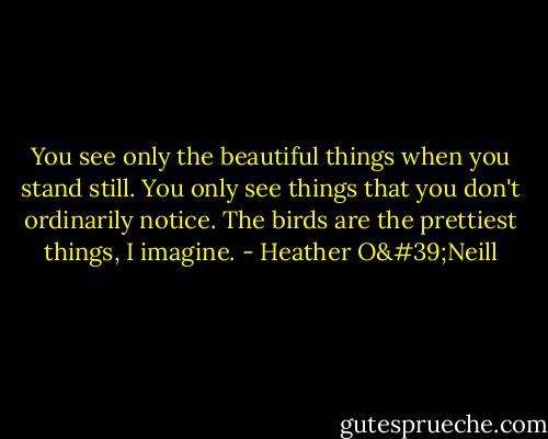 You see only the beautiful things when you stand still. You only see things that you don't ordinarily notice. The birds are the prettiest things, I imagine. - Heather O'Neill