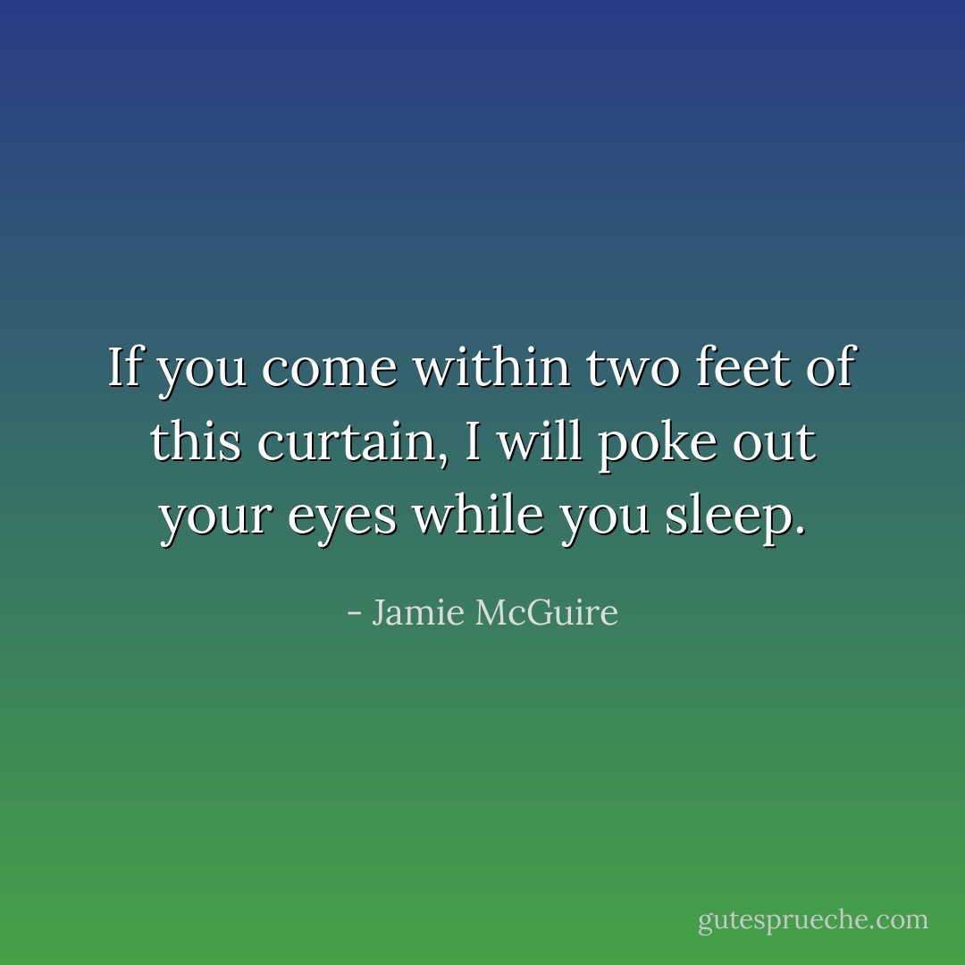 If you come within two feet of this curtain, I will poke out your eyes while you sleep. - Jamie McGuire