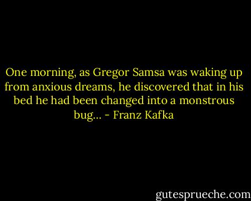 One morning, as Gregor Samsa was waking up from anxious dreams, he discovered that in his bed he had been changed into a monstrous bug… - Franz Kafka