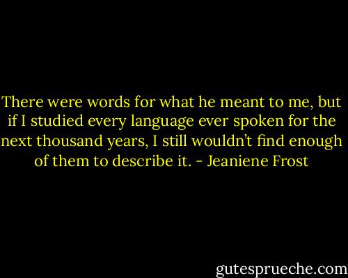 There were words for what he meant to me, but if I studied every language ever spoken for the next thousand years, I still wouldn’t find enough of them to describe it. - Jeaniene Frost