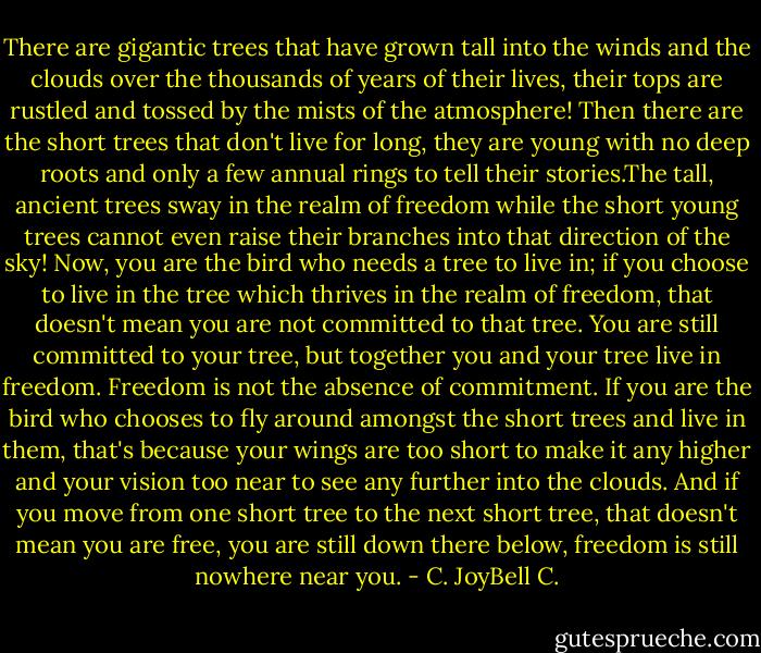 There are gigantic trees that have grown tall into the winds and the clouds over the thousands of years of their lives, their tops are rustled and tossed by the mists of the atmosphere! Then there are the short trees that don't live for long, they are young with no deep roots and only a few annual rings to tell their stories.The tall, ancient trees sway in the realm of freedom while the short young trees cannot even raise their branches into that direction of the sky! Now, you are the bird who needs a tree to live in; if you choose to live in the tree which thrives in the realm of freedom, that doesn't mean you are not committed to that tree. You are still committed to your tree, but together you and your tree live in freedom. Freedom is not the absence of commitment. If you are the bird who chooses to fly around amongst the short trees and live in them, that's because your wings are too short to make it any higher and your vision too near to see any further into the clouds. And if you move from one short tree to the next short tree, that doesn't mean you are free, you are still down there below, freedom is still nowhere near you. - C. JoyBell C.