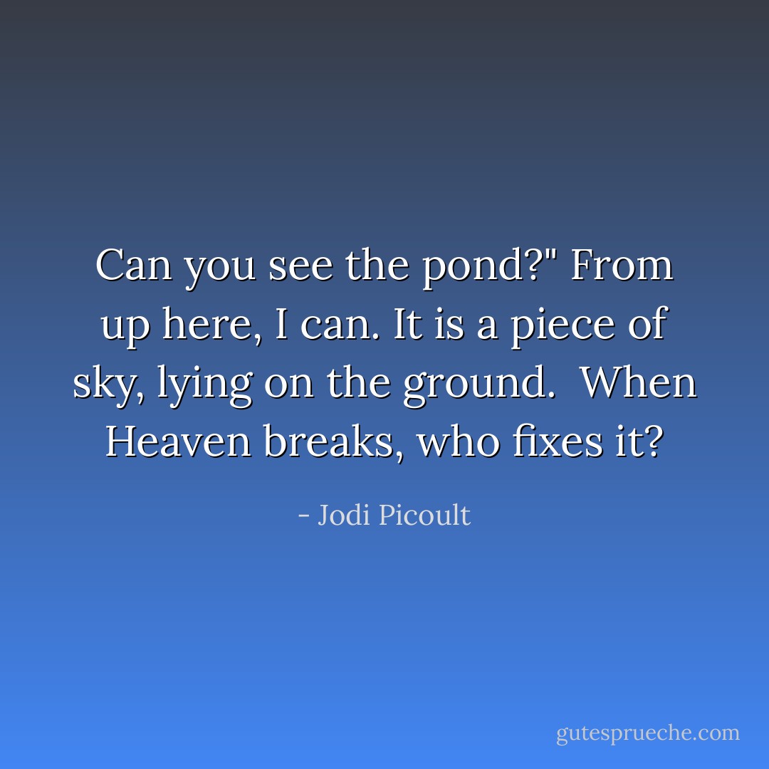 Can you see the pond?"<br />From up here, I can. It is a piece of sky, lying on the ground. <br />When Heaven breaks, who fixes it? - Jodi Picoult
