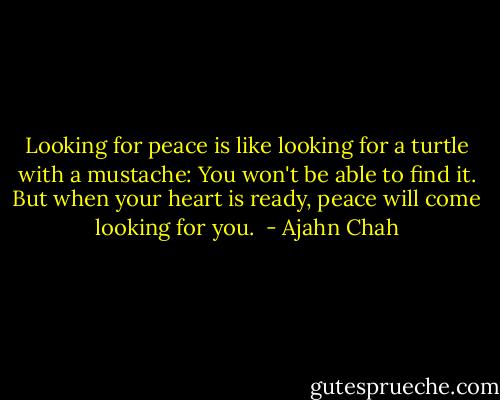 Looking for peace is like looking for a turtle with a mustache: You won't be able to find it. But when your heart is ready, peace will come looking for you.<br /> - Ajahn Chah