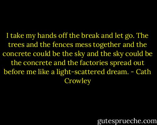 I take my hands off the break and let go. The trees and the fences mess together and the concrete could be the sky and the sky could be the concrete and the factories spread out before me like a light-scattered dream. - Cath Crowley