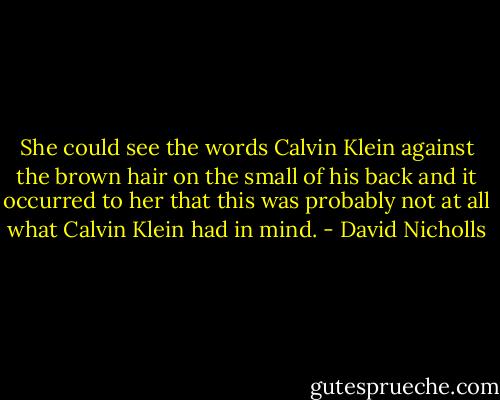 She could see the words Calvin Klein against the brown hair on the small of his back and it occurred to her that this was probably not at all what Calvin Klein had in mind. - David Nicholls