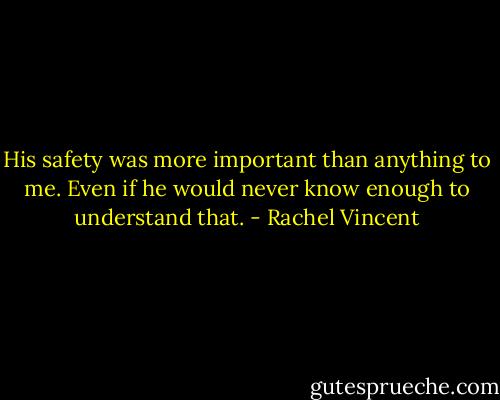His safety was more important than anything to me. Even if he would never know enough to understand that. - Rachel Vincent