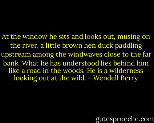 At the window he sits and looks out, musing on the river, a little brown hen duck paddling upstream among the windwaves close to the far bank. What he has understood lies behind him like a road in the woods. He is a wilderness looking out at the wild. - Wendell Berry