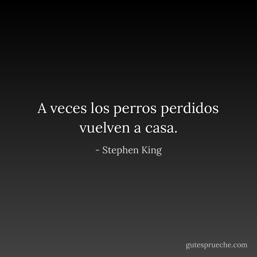 A veces los perros perdidos vuelven a casa. - Stephen King