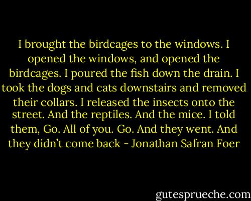 I brought the birdcages to the windows.<br />I opened the windows, and opened the birdcages.<br />I poured the fish down the drain.<br />I took the dogs and cats downstairs and removed their collars.<br />I released the insects onto the street.<br />And the reptiles.<br />And the mice.<br />I told them, Go.<br />All of you.<br />Go.<br />And they went.<br />And they didn’t come back - Jonathan Safran Foer