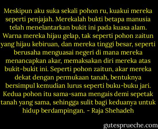 Meskipun aku suka sekali pohon ru, kuakui mereka seperti penjajah. Merekalah bukti betapa manusia telah menelantarkan bukit ini pada kuasa alam. Warna mereka hijau gelap, tak seperti pohon zaitun yang hijau kebiruan, dan mereka tinggi besar, seperti berusaha menguasai negeri di mana mereka menancapkan akar, memaksakan diri mereka atas bukit-bukit ini. Seperti pohon zaitun, akar mereka dekat dengan permukaan tanah, bentuknya bersimpul kemudian lurus seperti buku-buku jari. Kedua pohon itu sama-sama mengais demi sepetak tanah yang sama, sehingga sulit bagi keduanya untuk hidup berdampingan. - Raja Shehadeh