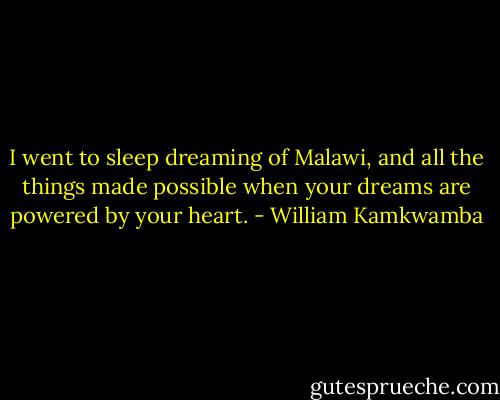 I went to sleep dreaming of Malawi, and all the things made possible when your dreams are powered by your heart. - William Kamkwamba