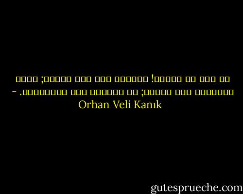 يا لها من حيرةٍ!<br />العالم ليس كما تشتهى;<br />نحكى مشاكلنا لكل إنسان;<br />لا ينصتون إلا للبندقية. - Orhan Veli Kanık