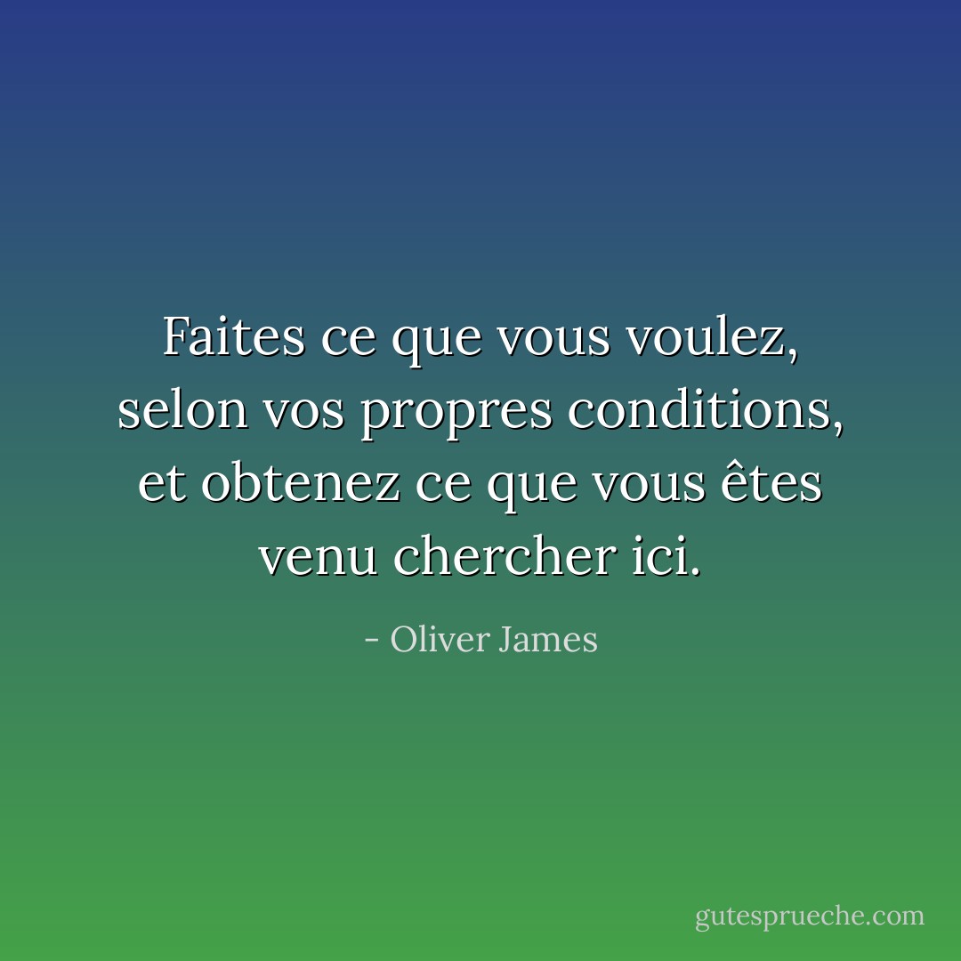 Faites ce que vous voulez, selon vos propres conditions, et obtenez ce que vous êtes venu chercher ici. - Oliver James