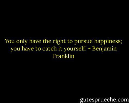 You only have the right to pursue happiness; you have to catch it yourself. - Benjamin Franklin