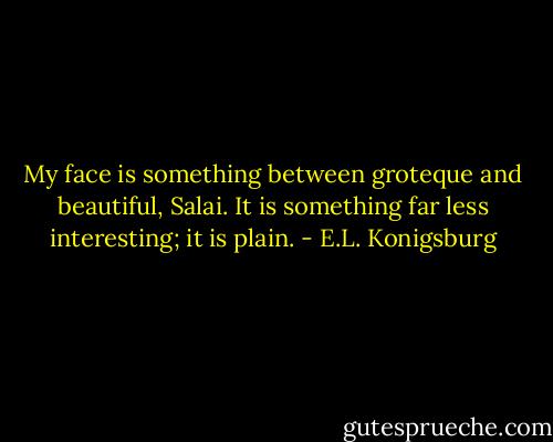 My face is something between groteque and beautiful, Salai. It is something far less interesting; it is plain. - E.L. Konigsburg