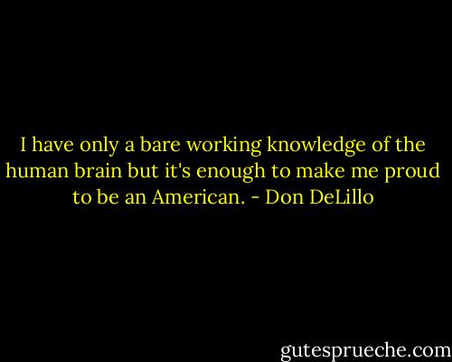 I have only a bare working knowledge of the human brain but it's enough to make me proud to be an American. - Don DeLillo