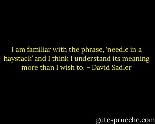 I am familiar with the phrase, ‘needle in a haystack’ and I think I understand its meaning more than I wish to. - David Sadler