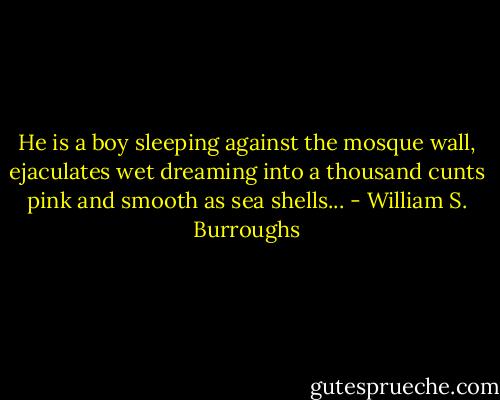He is a boy sleeping against the mosque wall, ejaculates wet dreaming into a thousand cunts pink and smooth as sea shells... - William S. Burroughs