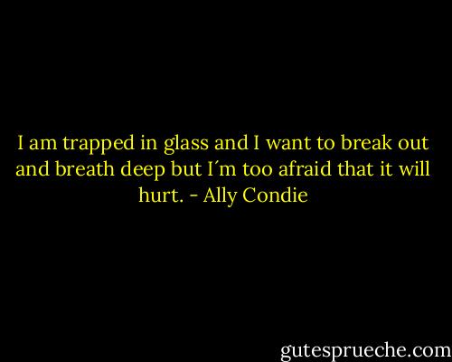 I am trapped in glass and I want to break out and breath deep but I´m too afraid that it will hurt. - Ally Condie