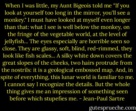 When I was little, my Aunt Bigeois told me "If you look at yourself too long in the mirror, you'll see a monkey." I must have looked at myself even longer than that: what I see is well below the monkey, on the fringe of the vegetable world, at the level of jellyfish... The eyes especially are horrible seen so close. They are glassy, soft, blind, red-rimmed, they look like fish scales... A silky white down covers the great slopes of the cheeks, two hairs protrude from the nostrils: it is a geological embossed map. And, in spite of everything, this lunar world is familiar to me. I cannot say I recognize the details. But the whole thing gives me an impression of something seen before which stupefies me. - Jean-Paul Sartre